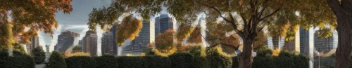 skyscrapers,trees with stitching,3d rendering,virtual landscape,1 wtc,1wtc,urban towers,high rises,3d background,poplar,9 11 memorial,tall buildings,poplar tree,city skyline,pudong,weeping willow,city buildings,panoramical,background texture,city scape,Light and shadow,Landscape,Autumn