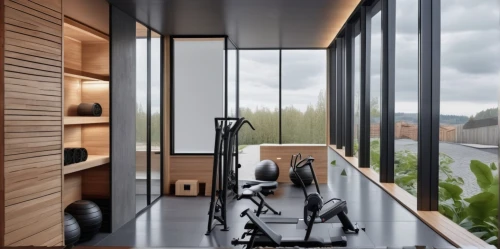 fitness room,fitness center,indoor cycling,modern room,indoor rower,modern office,interior modern design,leisure facility,room divider,modern minimalist bathroom,exercise equipment,interior design,walk-in closet,workout equipment,modern decor,loft,contemporary decor,exercise machine,smart home,laundry room,Photography,General,Realistic