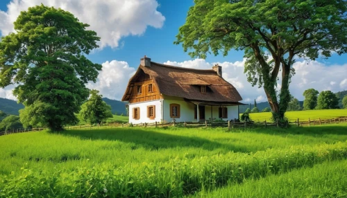 home landscape,lonely house,green landscape,country cottage,small house,traditional house,rural landscape,meadow landscape,landscape background,little house,house in mountains,farm house,farm background,countryside,beautiful home,wooden house,summer cottage,small cabin,danish house,country house,Photography,General,Realistic
