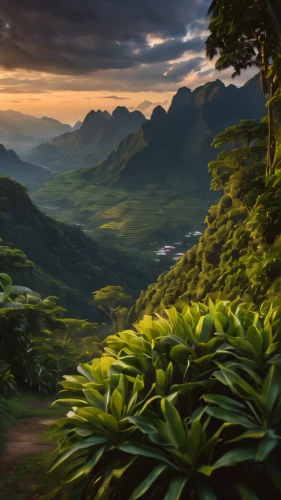 viñales valley,kauai,landscape background,mountainous landscape,mountain landscape,tropical and subtropical coniferous forests,drakensberg mountains,full hd wallpaper,philippines scenery,lilies of the valley,beautiful landscape,nature landscape,the natural scenery,natural scenery,fantasy landscape,karst landscape,mountain scene,reunion island,landscapes beautiful,oahu,Photography,General,Natural