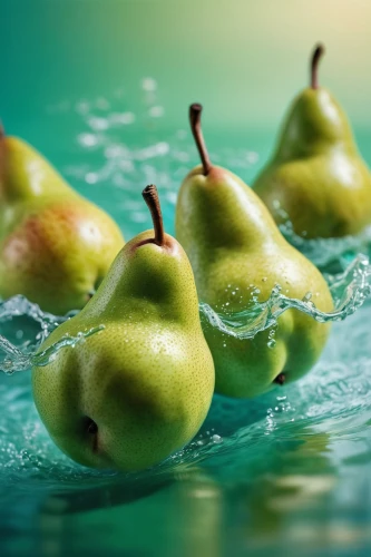 pears,pear cognition,green apples,granny smith apples,green apple,pear,water apple,asian pear,golden delicious,apples,cactus apples,granny smith,cart of apples,rock pear,apple kernels,apple mountain,apple pair,fruits of the sea,bell apple,kiwi coctail,Photography,General,Commercial