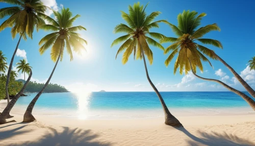 coconut trees,coconut palms,coconut tree,tropical beach,dream beach,palm tree vector,coconut palm tree,beach landscape,cook islands,caribbean beach,coconuts on the beach,beautiful beaches,coconut palm,beautiful beach,paradise beach,beach scenery,tropical sea,caribbean,tropical island,the caribbean,Photography,General,Realistic