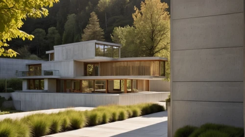 corten steel,modern house,swiss house,exposed concrete,modern architecture,dunes house,archidaily,cubic house,timber house,residential house,ruhl house,mid century house,smart house,cube house,stucco wall,concrete blocks,luxury property,contemporary,bendemeer estates,residential,Photography,General,Realistic