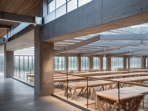 school design,wooden beams,daylighting,lecture hall,timber house,canteen,archidaily,lecture room,wooden construction,wooden roof,cafeteria,folding roof,wooden windows,hanok,concrete ceiling,christ chapel,conference hall,wood structure,beer tables,alpine restaurant,Photography,General,Natural