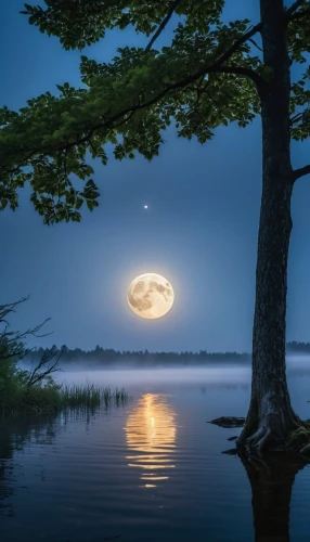 moonlit night,hanging moon,moonlit,moonrise,full moon,moonshine,blue moon,moon at night,evening lake,moonlight,moon photography,moon in the clouds,moon night,big moon,moonscape,tranquility,fantasy picture,moon and star background,the night of kupala,moons,Photography,General,Realistic