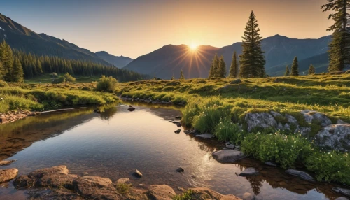 salt meadow landscape,mountain stream,british columbia,mountain meadow,alpine meadows,alpine meadow,slowinski national park,tatra mountains,nature landscape,mountain river,beautiful landscape,mountain spring,mountain sunrise,united states national park,temperate coniferous forest,meadow landscape,natural landscape,landscape photography,landscape background,landscapes beautiful,Photography,General,Realistic