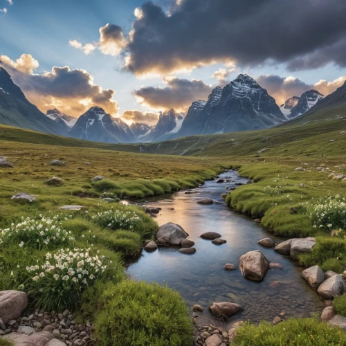 northern norway,landscape mountains alps,alpine meadow,mountain tundra,landscape photography,mountain meadow,mountain landscape,alpine region,mountain stream,salt meadow landscape,nordland,mountain pasture,the russian border mountains,mountainous landscape,beautiful landscape,the mongolian and russian border mountains,alpine pastures,landscapes beautiful,the mongolian-russian border mountains,landscape background,Photography,General,Realistic