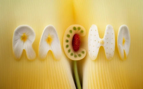 radish,ranunculaceae,ranunculus,stamen,raita,radicans,roma tomato,flower of passion fruit,ram,rau,passion fruit flower,stamens,rasp,rapeseeds,rasp cheese,rotini,rambutan,rarau,flowers png,rasam,Realistic,Flower,Poppy