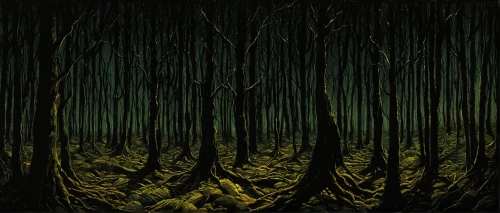 forest dark,old-growth forest,deciduous forest,tree grove,the forests,green forest,row of trees,forest landscape,the forest,haunted forest,spruce forest,beech forest,forest floor,grove of trees,birch forest,coniferous forest,holy forest,forests,forest,forest of dreams,Illustration,Realistic Fantasy,Realistic Fantasy 29