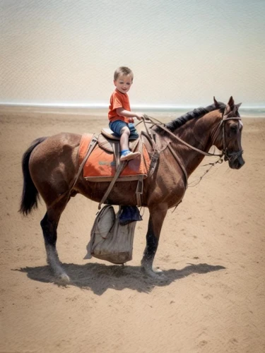 horse kid,sand bucket,riding lessons,vintage horse,horse herder,horse trainer,tent pegging,draft horse,horsemanship,horse tack,horse harness,horse riding,young horse,horseback riding,endurance riding,quarterhorse,horse drawn,play horse,barrel racing,playing in the sand,Common,Common,Photography