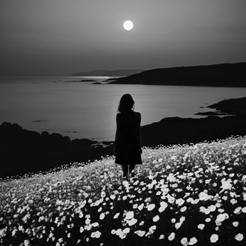 blackandwhitephotography,beach moonflower,monochrome photography,cotton grass,moonlit night,scattered flowers,seaside daisy,moonlit,cape marguerites,moonlight cactus,moonlight,sea night,the night of kupala,cape marguerite,nocturnes,colourless,salt flower,lan thom,black and white photo,fragility,Illustration,Black and White,Black and White 33
