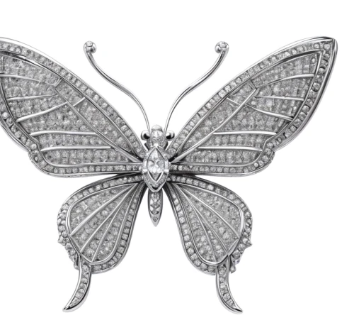 vanessa (butterfly),hesperia (butterfly),janome butterfly,cupido (butterfly),butterfly white,celastrina,peppered moth,lacewing,polyommatus,c butterfly,lepidoptera,butterfly clip art,french butterfly,melanargia,colias,polyommatus icarus,callophrys,lepidopterist,mazarine blue butterfly,limenitis