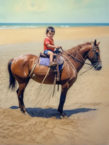 horse kid,riding lessons,racehorse,endurance riding,horseback,vintage horse,carousel horse,tent pegging,horse riders,quarterhorse,horse trainer,jockey,horse riding,equestrianism,man and horses,equitation,standardbred,painted horse,horsemanship,young horse,Photography,General,Natural