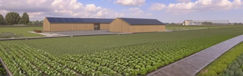 frisian house,organic farm,grass roof,new housing development,eco hotel,tona organic farm,eco-construction,agroculture,permaculture,agricultural engineering,rice cultivation,garden buildings,vegetable garden,vegetable field,vegetables landscape,3d rendering,yamada's rice fields,wine-growing area,housebuilding,ecological sustainable development,Photography,General,Realistic