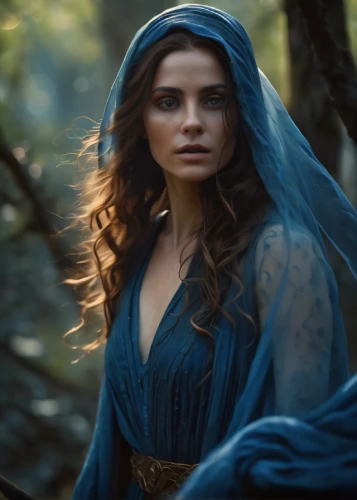 blue enchantress,sorceress,celtic queen,the enchantress,celtic woman,artemisia,biblical narrative characters,princess sofia,fantasy woman,catarina,the witch,fae,cinderella,winterblueher,elven,swath,cloak,fairy queen,queen anne,the snow queen,Photography,General,Cinematic