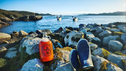 tofino,lucozade,leninade,message in a bottle,bay water,malibu rum,aperol,fanta,coffee bay,sundown audio,natural water,north of scotland,lofoten,kodiak,kombucha,uk sea,bottle fiery,zebru,vitamin c,norway coast