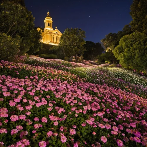 blanket of flowers,flower garden,splendor of flowers,saint isaac's cathedral,flower clock,phlox,sea of flowers,garden phlox,barberton daisies,field of flowers,ukraine,the park at night,scattered flowers,flower dome,flower bed,statehouse,provence,landscape lighting,stanford university,clove garden,Conceptual Art,Daily,Daily 04