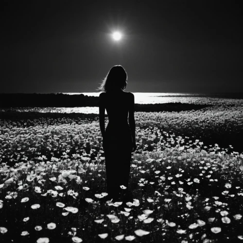 beach moonflower,monochrome photography,sea night,dark beach,the night of kupala,moonlit night,moonlight,moonlit,blackandwhitephotography,nocturnes,moon addicted,moonflower,woman silhouette,black and white photo,guiding light,colourless,moonscape,longing,light of night,loneliness,Illustration,Black and White,Black and White 33