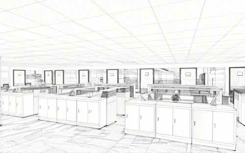 office line art,assay office,kitchen design,chemical laboratory,chefs kitchen,3d rendering,kitchen,cabinets,kitchen interior,school design,offices,cabinetry,big kitchen,laboratory information,technical drawing,laboratory,working space,kitchen cabinet,wireframe graphics,study room