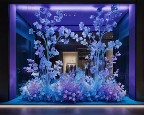 shop-window,blue violet,vitrine,majorelle blue,lilac arbor,display window,shop window,ipê-purple,flower booth,blue room,store window,purple irises,irises,shopwindow,flower wall en,lilac tree,grape-hyacinth,store front,japanese floral background,lilac orchid,Photography,Fashion Photography,Fashion Photography 07