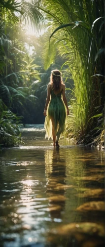 tarzan,mowgli,digital compositing,running frog,water nymph,frog background,woman frog,crocodile woman,moana,jungle,the blonde in the river,little girl running,rainforest,tropical jungle,full hd wallpaper,rain forest,fantasy picture,world digital painting,green frog,amazonian oils,Photography,General,Cinematic