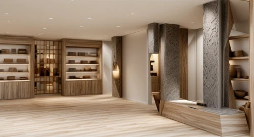walk-in closet,pantry,search interior solutions,interior modern design,cabinetry,gold bar shop,wine cellar,shelving,luxury home interior,interior design,interior decoration,3d rendering,cabinets,boutique hotel,kitchen shop,hallway space,under-cabinet lighting,shelves,beauty room,boutique