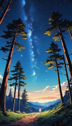 landscape background,cartoon video game background,background vector,forest background,coniferous forest,background images,forest landscape,dusk background,moon and star background,starry sky,background image,backgrounds,background screen,fantasy landscape,background view nature,creative background,full hd wallpaper,pine forest,3d background,children's background,Photography,General,Realistic