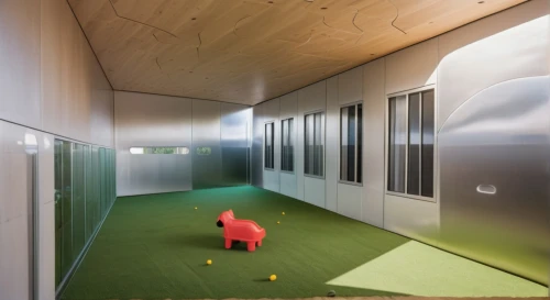 golf hotel,grass golf ball,kennel club,kennel,indoor games and sports,piglet barn,play area,feng shui golf course,children's interior,feng-shui-golf,recreation room,mini-golf,creative office,pitch and putt,hallway space,little man cave,dog house,golf hole,golf lawn,panoramic golf,Photography,General,Natural