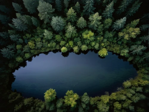 mandelbrodt,mirror in the meadow,fractal environment,underground lake,circle around tree,water mirror,mirror water,porthole,fractals art,pond lenses,fractals,pond,crescent spring,spherical image,reflection of the surface of the water,circle,a circle,fractal art,artificial islands,circular