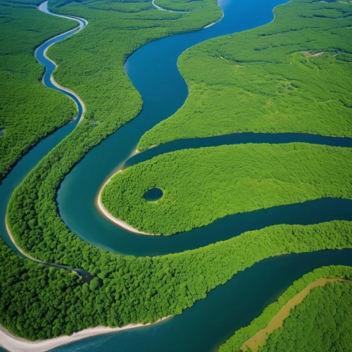 the danube delta,danube delta,river delta,tanana river,braided river,altyn-emel national park,everglades np,meanders,rio grande river,doñana national park,the vishera river,eastern mangroves,everglades,river nile,river landscape,danubedelta,oxbow lake,fluvial landforms of streams,freshwater marsh,hulunbuir,Photography,General,Realistic