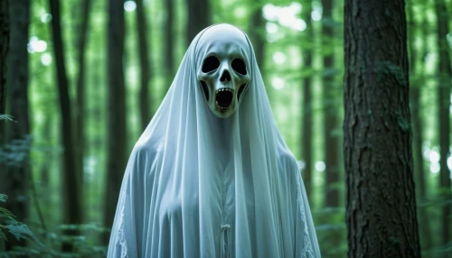 boo,gost,scream,haunt,the ghost,ghost face,ghost,scare,grimm reaper,bogeyman,scary woman,halloween ghosts,frighten,casper,halloween and horror,haunted forest,haunted,haunting,ghost girl,aaa,Photography,General,Realistic