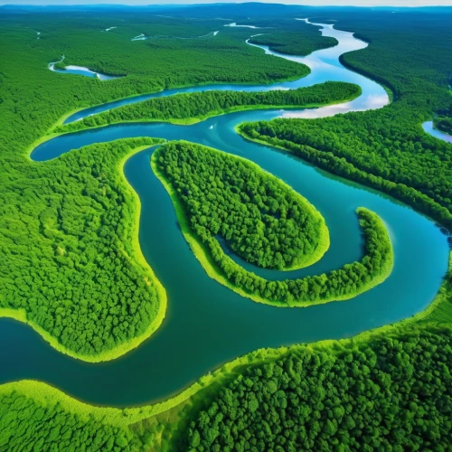 danube delta,the danube delta,river delta,tanana river,aaa,rio grande river,eastern mangroves,green trees with water,river landscape,braided river,aura river,a river,the vishera river,green water,river nile,danubedelta,everglades np,mangroves,herman national park,guyana,Photography,General,Realistic