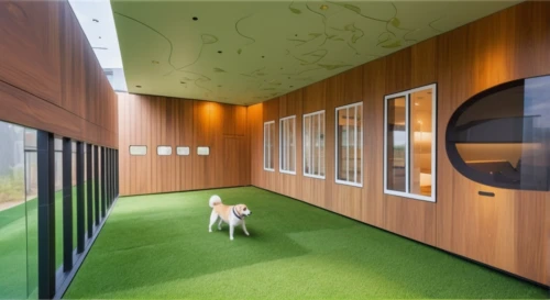 kennel,kennel club,dog house,modern office,archidaily,hallway space,school design,cubic house,daylighting,creative office,animal shelter,cube house,dog cafe,eco hotel,turf roof,offices,grass roof,corten steel,conference room,shipping container,Photography,General,Natural