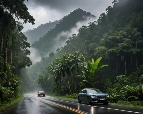 rain forest,tropical and subtropical coniferous forests,valdivian temperate rain forest,tropical jungle,mountain road,reunion island,mountain highway,forest road,borneo,rainforest,alpine drive,steep mountain pass,national highway,phuket province,tropical greens,winding roads,coastal road,northeast brazil,the road,costa rica,Photography,General,Natural