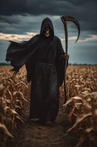 scythe,grimm reaper,grim reaper,corn field,reaper,dance of death,cornfield,wheat field,field of cereals,grain field,cleanup,wheat fields,bed in the cornfield,scarecrow,wheat crops,maize,corn stalks,agroculture,aaa,forage corn,Photography,General,Cinematic