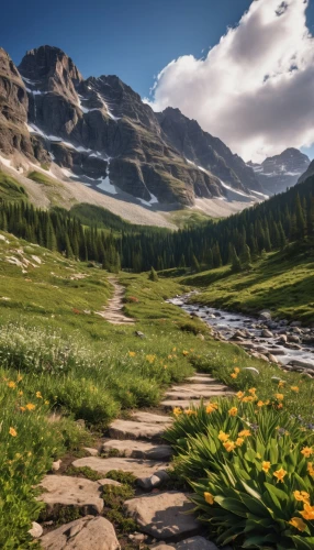 alpine meadow,mountain meadow,salt meadow landscape,hiking path,alpine crossing,alpine flowers,alpine route,alpine meadows,the valley of flowers,the mystical path,pathway,meadow landscape,mountain landscape,bernese alps,glacier national park,alpine region,mountain valley,alpine drive,landscape mountains alps,the path,Photography,General,Realistic