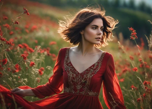 man in red dress,red gown,lady in red,romantic portrait,beautiful girl with flowers,red cape,red tunic,red petals,scent of roses,girl in a long dress,field of poppies,girl in red dress,romantic look,girl in flowers,red flowers,portrait photography,red roses,splendor of flowers,poppy red,red flower,Photography,General,Fantasy