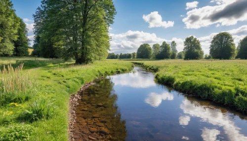 polder,dutch landscape,the netherlands,north baltic canal,friesland,münsterland,north friesland,green trees with water,ostfriesland,watercourse,moated,green landscape,river landscape,brook landscape,netherlands,uckermark,groenendael,background view nature,moated castle,landscape nature,Photography,General,Realistic