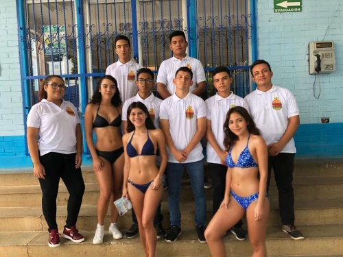 volleyball team,young swimmers,water polo,finswimming,underwater sports,rowing team,role,dolphinarium,aesculapian staff,sporting group,lindos,loro parque,team,team sport,santo domingo,swimming people,tops,lifeguard,water polo ball,swimmers