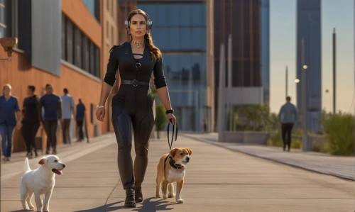 businesswomen,business women,spy,businesswoman,business woman,walking dogs,dog walker,business girl,neon human resources,woman walking,spy visual,dog walking,corporate,ceo,basenji,working dog,sprint woman,giant dog breed,girl with dog,white-collar worker,Photography,General,Realistic