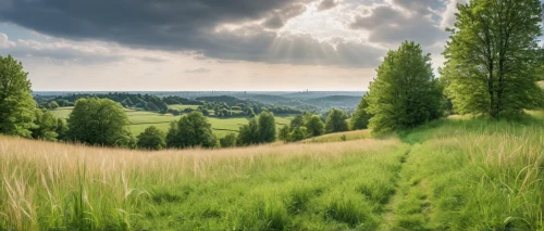 green landscape,aaa,background view nature,meadow landscape,landscape background,ore mountains,landscape photography,green meadow,landscape nature,nature landscape,grasslands,meadow and forest,grassland,natural landscape,meadow fescue,thuringia,green meadows,green fields,home landscape,grain field panorama,Photography,General,Realistic