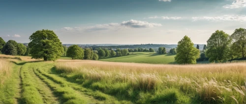 meadow landscape,green landscape,landscape background,background view nature,meadow and forest,aaa,ore mountains,rural landscape,landscape nature,grasslands,grassland,green fields,nature landscape,green meadow,grain field panorama,panoramic landscape,salt meadow landscape,natural landscape,farm landscape,home landscape,Photography,General,Realistic