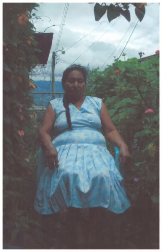 quinceañera,guatemalan,girl in the garden,callaloo,honduras lempira,hipparchia,cd cover,disposable camera,grandmother,ipê-rosa,album cover,digital photo,crinoline,damiana,hoopskirt,a girl in a dress,free land-rose,african american woman,maracatu,color image