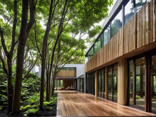 timber house,house in the forest,garden design sydney,wooden decking,wooden house,eco hotel,landscape design sydney,landscape designers sydney,bamboo forest,modern house,eco-construction,residential house,bamboo curtain,wood deck,archidaily,laminated wood,cubic house,cube house,dunes house,bamboo plants,Photography,General,Realistic