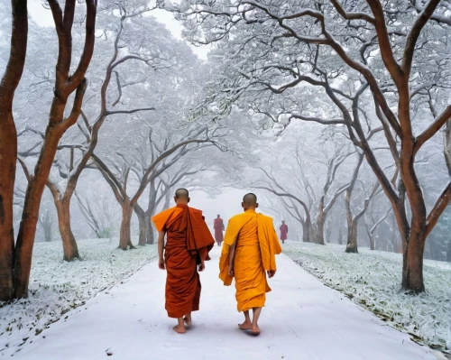 buddhists monks,monks,theravada buddhism,buddhist monk,buddhists,indian monk,vipassana,the mystical path,buddhist,orange robes,bodhi tree,tree lined path,pathway,dhammakaya pagoda,the path,hall of supreme harmony,pilgrimage,connectedness,the luv path,monk,Conceptual Art,Oil color,Oil Color 03