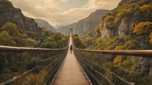 hanging bridge,suspension bridge,scenic bridge,rope bridge,canopy walkway,inca rope bridge,chain bridge,gorges of the danube,hangman's bridge,tied-arch bridge,golden bridge,wooden bridge,bridge,footbridge,landscapes beautiful,landscape photography,dragon bridge,walkway,extradosed bridge,landscape background,Photography,General,Cinematic