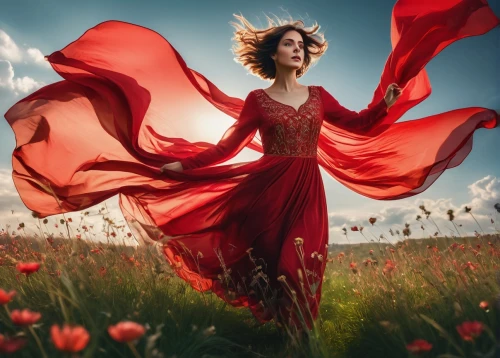 man in red dress,red gown,red cape,lady in red,girl in a long dress,red tunic,flamenco,red dahlia,girl in red dress,little girl in wind,field of poppies,poppy red,red confetti,red summer,red petals,red dress,red carnations,red flower,red flowers,photoshop manipulation,Photography,General,Fantasy