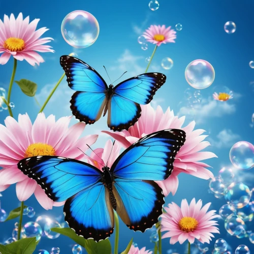 blue butterfly background,butterfly background,blue butterflies,butterfly clip art,ulysses butterfly,butterfly floral,butterflies,butterfly isolated,butterfly on a flower,isolated butterfly,flower background,blue butterfly,butterfly vector,butterfly,butterfly day,butterfly wings,rainbow butterflies,butterfly swimming,fluttering,flutter,Photography,General,Realistic