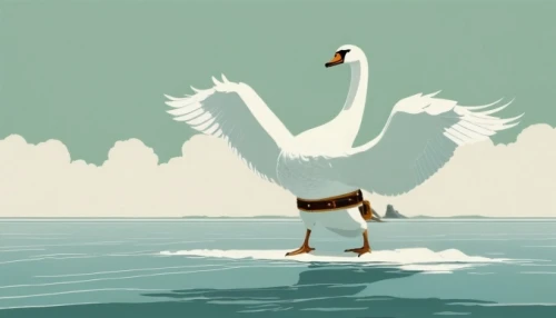 swan lake,trumpet of the swan,water bird,gooseander,white swan,swan,water fowl,swan on the lake,trumpeter swan,aquatic bird,duck bird,wild goose,waterbird,swan baby,duck on the water,goose,swans,pelican,trumpeter swans,donald duck