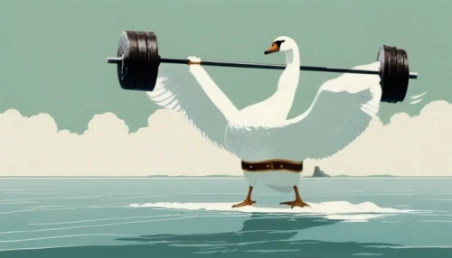 water bird,indoor rower,rowing,rower,rowing dolle,trumpet of the swan,to lift,water fowl,weightlifting,gooseander,waterbird,weight lifter,weight lifting,weightlifting machine,citroen duck,duck bird,weightlifter,exercise machine,aquatic bird,coxswain